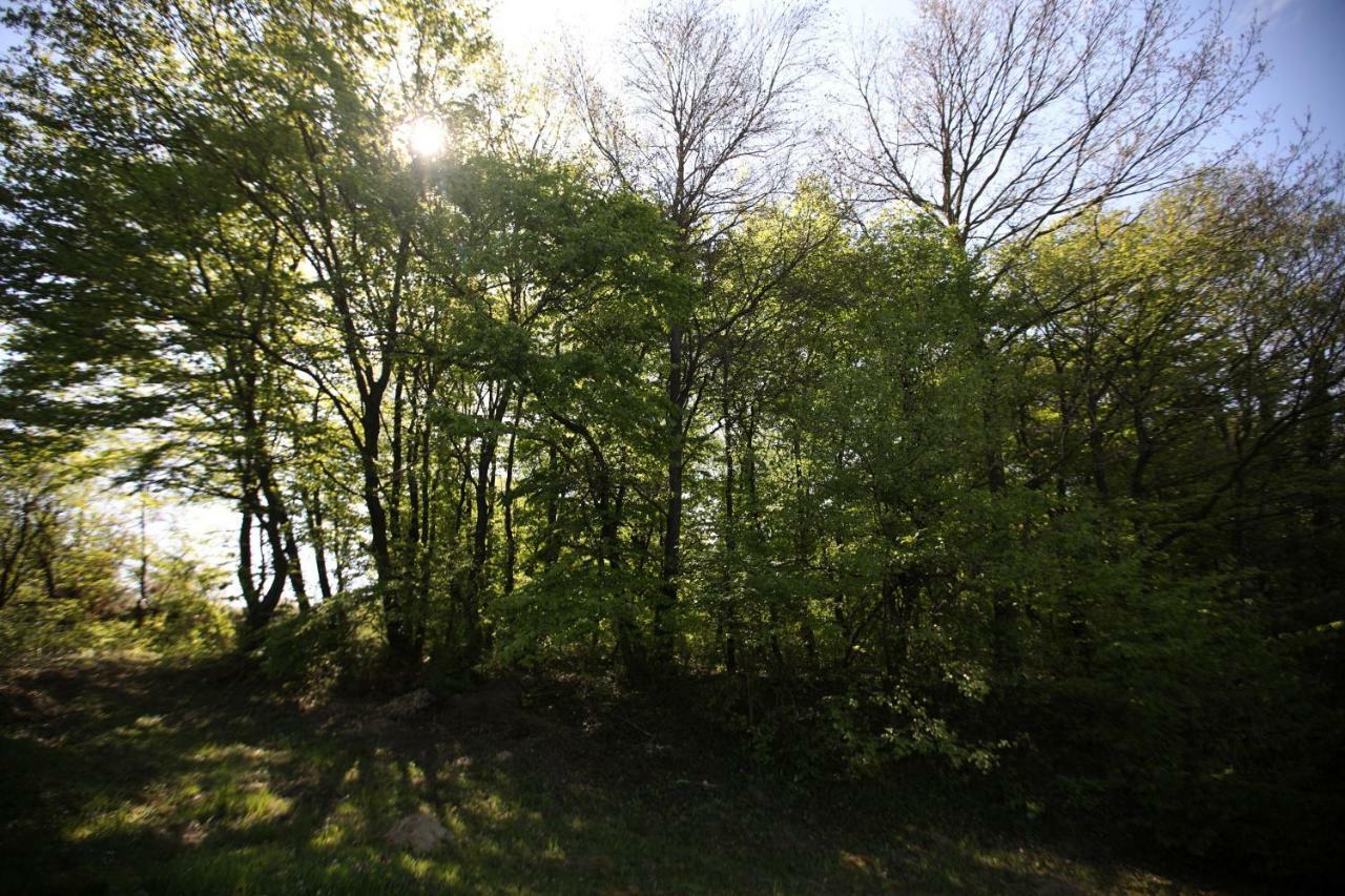 Varga Vendégház Sumegpraga Exterior foto